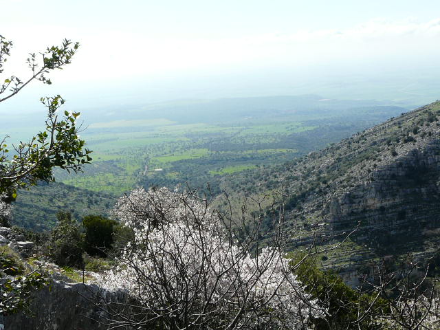 Monte Ividori con valle di Vituro...e vista sul Tavoliere